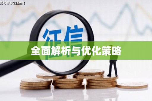 源汇全面解析与优化策略